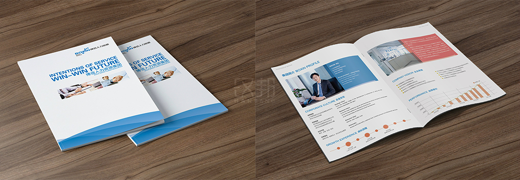 博信人力資源宣傳冊設(shè)計A